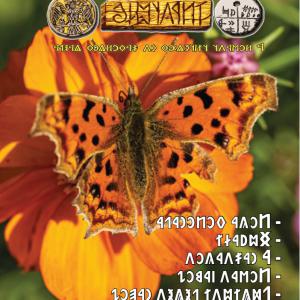 Írástudó újság 2025. hetedik szám (július)