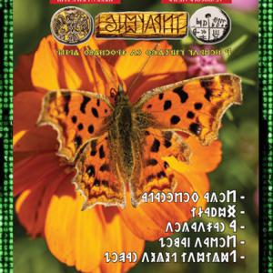 Írástudó újság 2025. hetedik szám (július) DIGITÁLIS VÁLTOZAT)