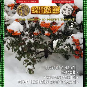 Írástudó újság 2025. tizenkettedik szám (december) (DIGITÁLIS VÁLTOZAT)