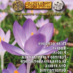 Írástudó újság 2026. második szám (február)