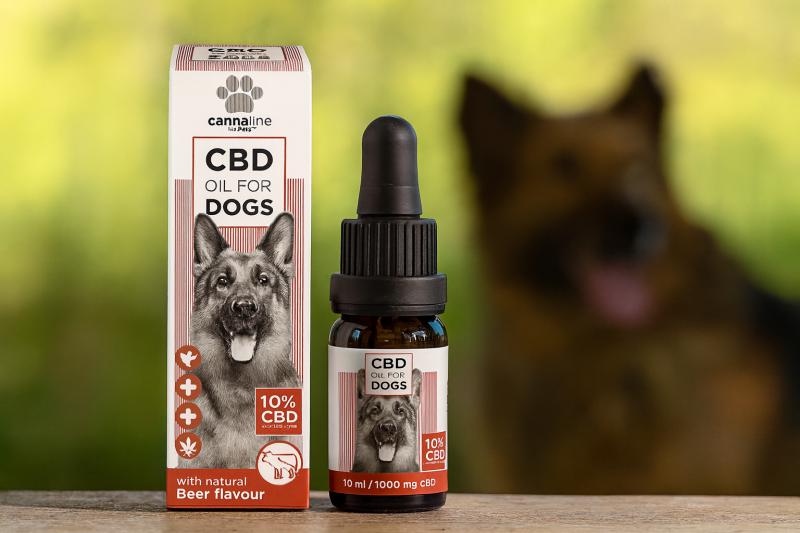 Euphoria PET kutyáknak 10% 10ml