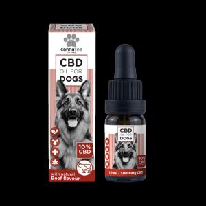 Cannaline 10% CBD olaj állatoknak – 10 ml, 1000 mg CBD, marhahúsízzel