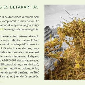 Medi Hemp Bio Hanf Complete 10% 30ml - UTOLSÓ DARABOK