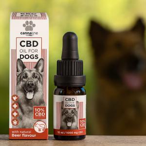 Euphoria PET kutyáknak 10% 10ml