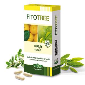 Natur Tanya® E. FitoTree kapszula baktériumölő, fertőtlenítő 30x + B vitamin komplex