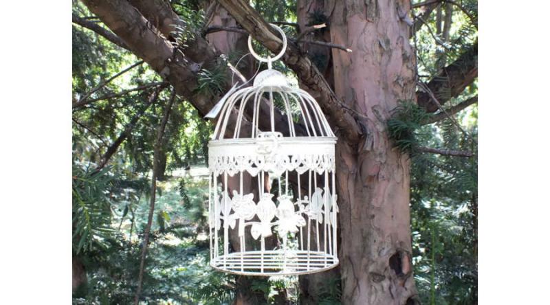 2 madaras antikolt fehér kalitka nagy