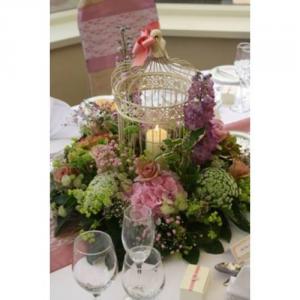 2 madaras antikolt fehér kalitka nagy