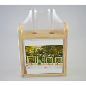 Üveg kémcső fa tartóval