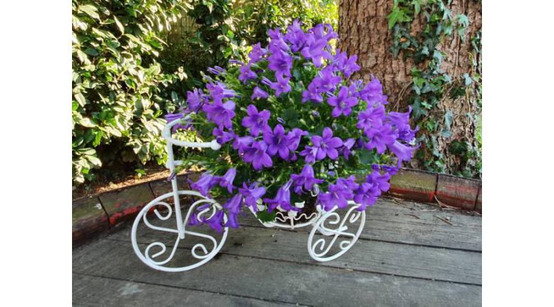 Kovácsoltvas szirom formájú virágtartós fém tricikli 30 cm