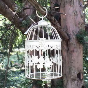 2 madaras antikolt fehér kalitka nagy