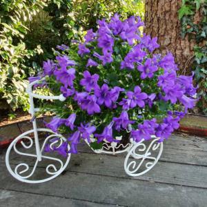 Kovácsoltvas hatszögletű virágtartós fém tricikli 30 cm