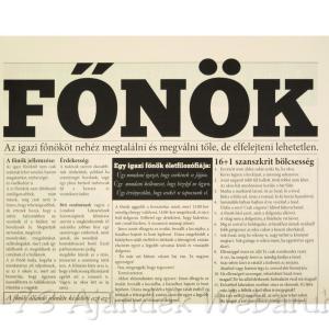 Vicces újság Főnök 32x46 cm