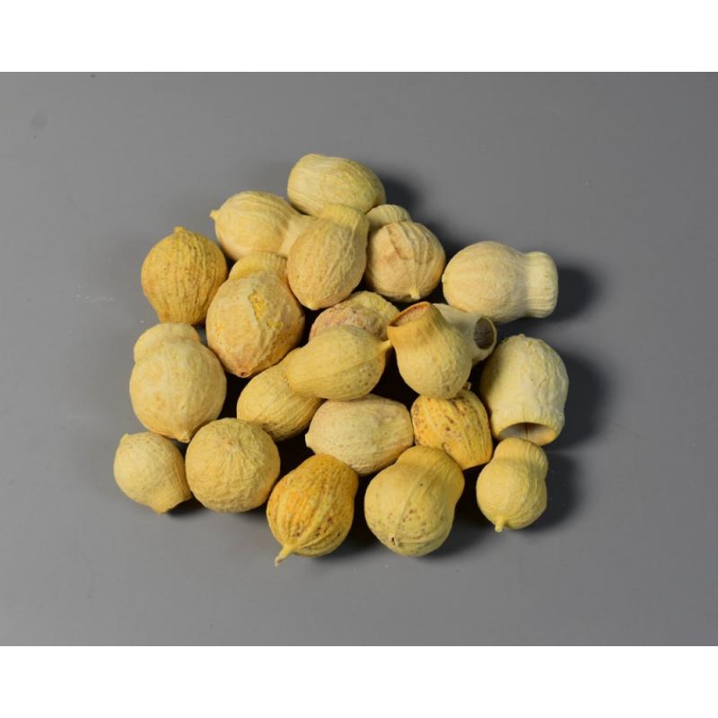 bell gum fehérített