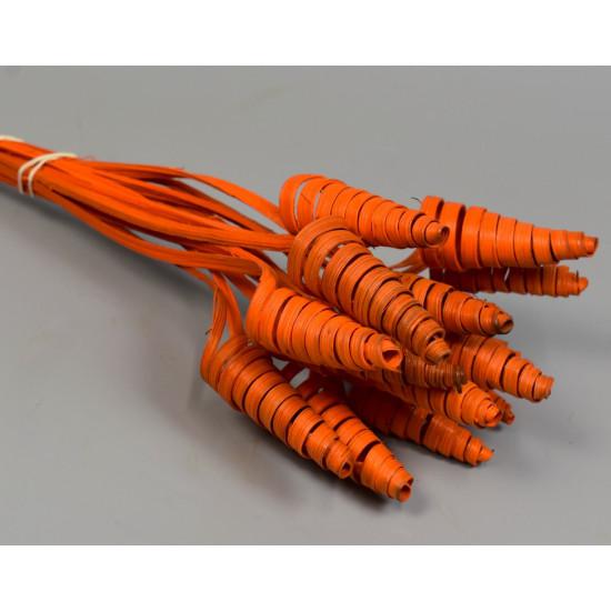 cane cone narancs