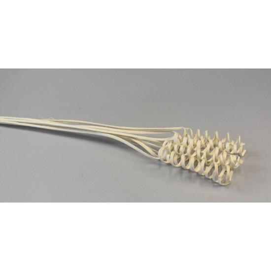 cane cone spring fehérített