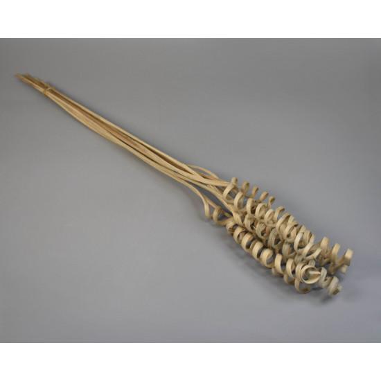 cane cone spring natúr
