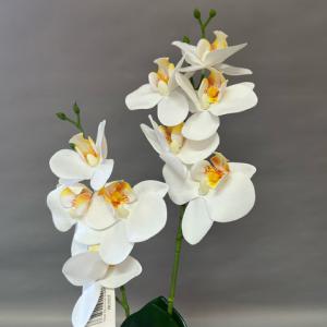 orchidea csokor 2 ágas