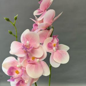 orchidea csokor 2 ágas