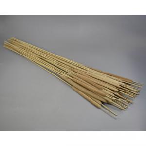 Typha