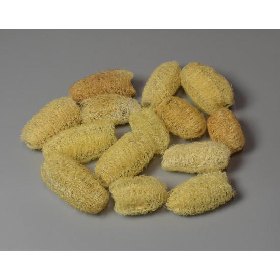 luffa fehérített