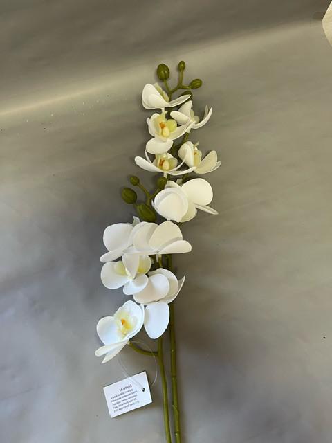 orchidea szálas 2 ágas fehér