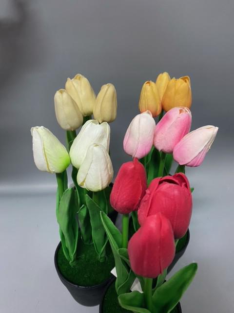 polyfoam tulipán cserepes