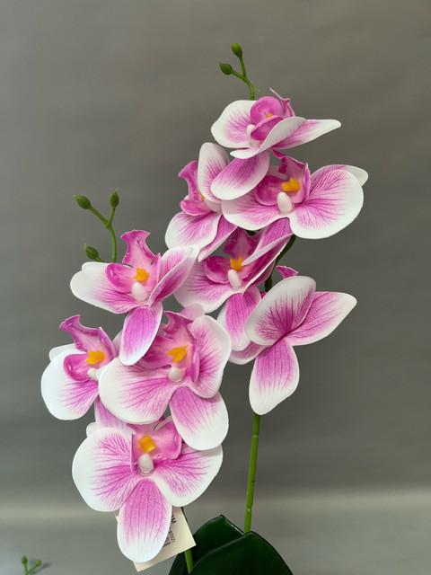 rózsa csokor 35cm*20cm