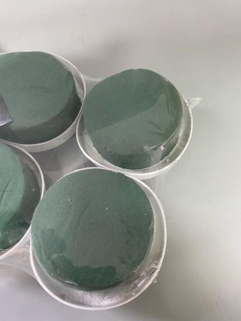 Szavanna  tál kicsi vizes oázissal 6 db / csomag