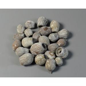 bell gum zuzmarás