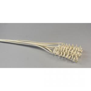 cane cone spring fehérített
