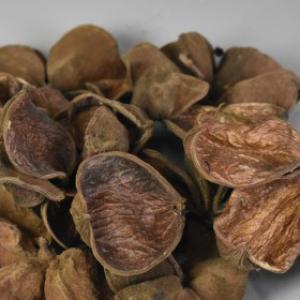landlotus natur