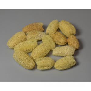 luffa fehérített
