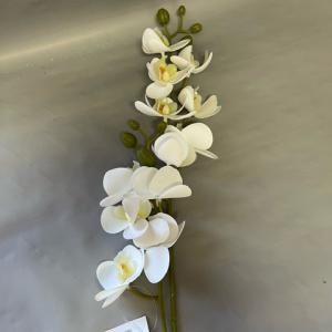 orchidea szálas 2 ágas fehér