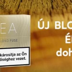 Terea Blond Fuse für IQOS ILUMA