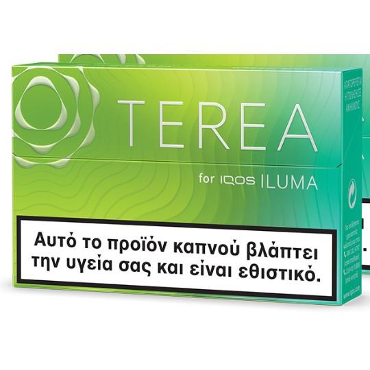 Terea - Coral Tide - Buy Online