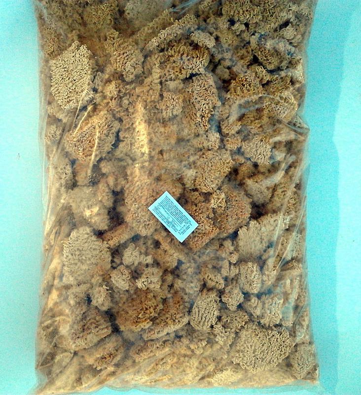 10kg Sült tört INSTANT tészta Főzés nélkül készíthető el