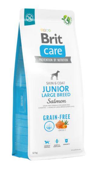 BRITCARE 12KG SKINCOAT JUNIOR LB SALMON 8865 VKÉK GAMONAMENTES SZÁRAZTÁP KUTYA