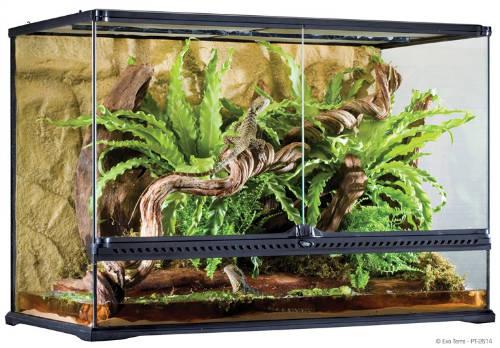 Exo-Terra Large Tall Terrarium - Dekoratív kivitelű üvegterrárium (90x45x60cm)