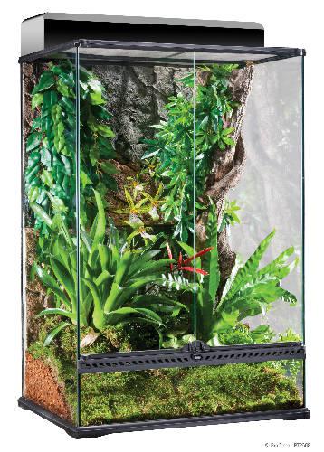 Exo-Terra X-Tall Medium Terrarium - Dekoratív kivitelű üvegterrárium (60x45x90cm)