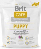 BRIT CARE 1KG PUPPY ALL BREED LAMB RICE SZÁRAZTÁP KUTYA