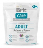 BRIT CARE 1KG SKIN&COAT; GF ADULT SALMON GABONAMENTES CSIRKEMENTES SZÁRAZTÁP KUTYA