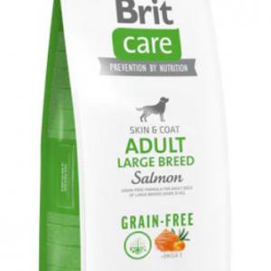 BRITCARE 12KG SKIN&COAT; ADULT LB SALMON 8896 VZÖLD SALMON GABONAMENTES SZÁRAZTÁP KUTYA