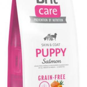 BRITCARE 12KG SKINCOAT GF PUPPY SALMON 8803 RÓZSA GABONAMENTES CSIRKEMENTES SZÁRAZTÁP KUTYA