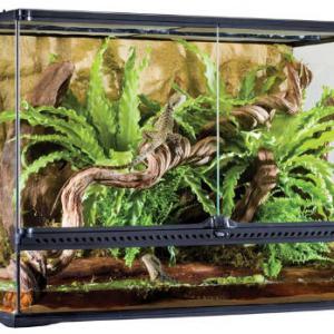 Exo-Terra Large Tall Terrarium - Dekoratív kivitelű üvegterrárium (90x45x60cm)