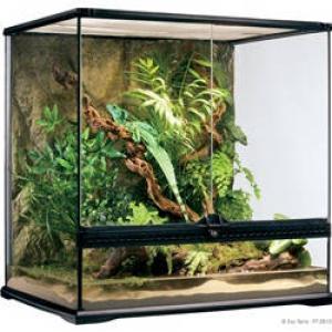 Exo-Terra Medium Tall Terrarium - Dekoratív kivitelű üvegterrárium (60x45x60cm)