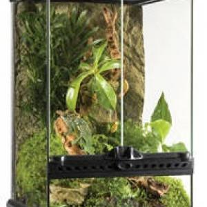 Exo-Terra Mini Tall Terrarium - Dekoratív kivitelű üvegterrárium (30x30x45cm)