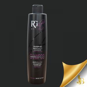 Right Color Silver Sampon 300ml