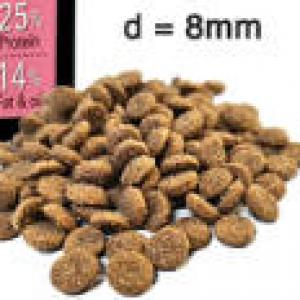 FitActive Premium Hypoallergenic Lamb Adult SMALL - száraztáp (bárány) kutyák részére