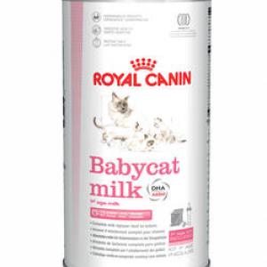 Royal Canin BabyCat Milk - tejpótló tápszer macskák részére (300g)