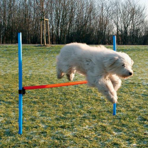 Trixie Dog Activity Agility akadály játék kutyáknak 123*115cm